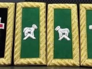 Embroidery Batch – Premium Handmade Decorative Patch
